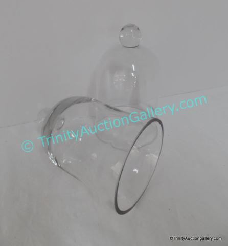 Appraisal: Clothe Glass Bell Jars Whether for incubating plants or as