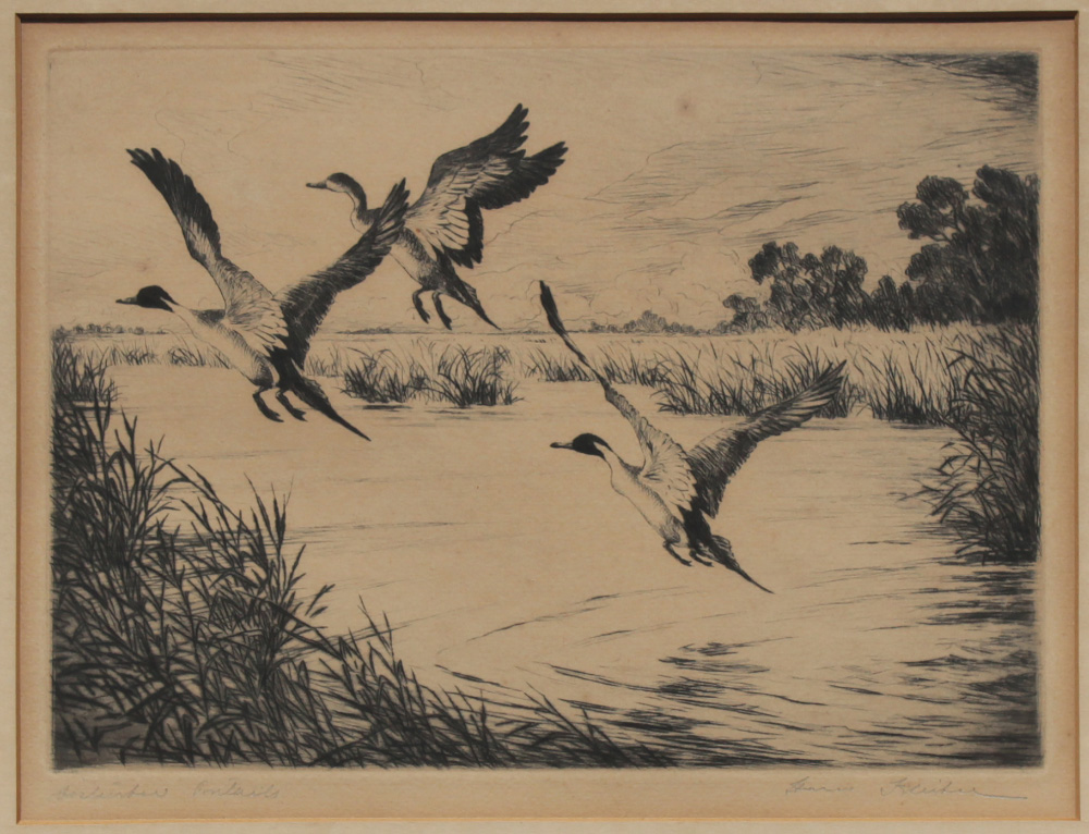 Appraisal: KLEIBER Hans American - ''Disturbed Pintails'' Etching sight size ''