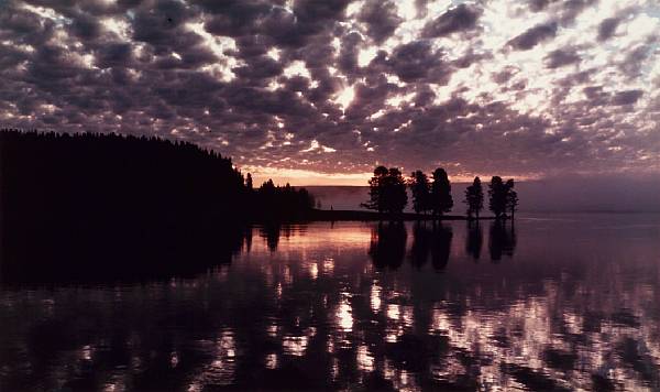 Appraisal: Thomas D Mangelsen American Yellow Stone Clouds Yellowstone National Park