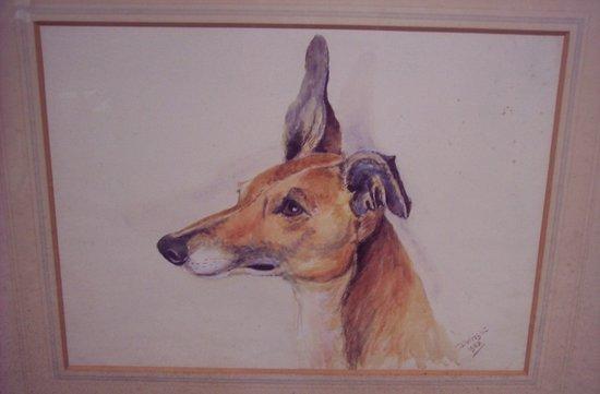 Appraisal: D Wright Portrait of a Lurcherwatercolour cm x cm x