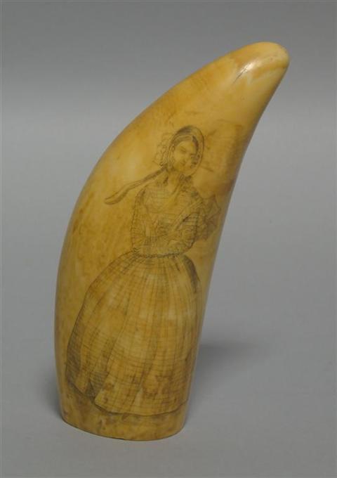 Appraisal: A SCRIMSHAW TOOTH The tooth stained a rich honey color