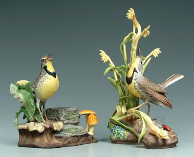 Appraisal: Two Boehm bird figurines meadowlarks one with Boehm feather mark