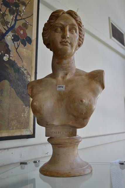 Appraisal: TERRACOTTA BUST OF THE VENUS DE MILO