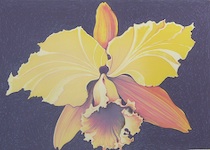 Appraisal: Lowell Blair Nesbitt American - Color Daffodil Lithograph in colors