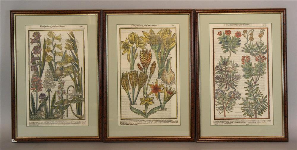 Appraisal: JOHN PARKINSON BRITISH - THREE BOTANICAL PRINTS FROM THE GARDEN