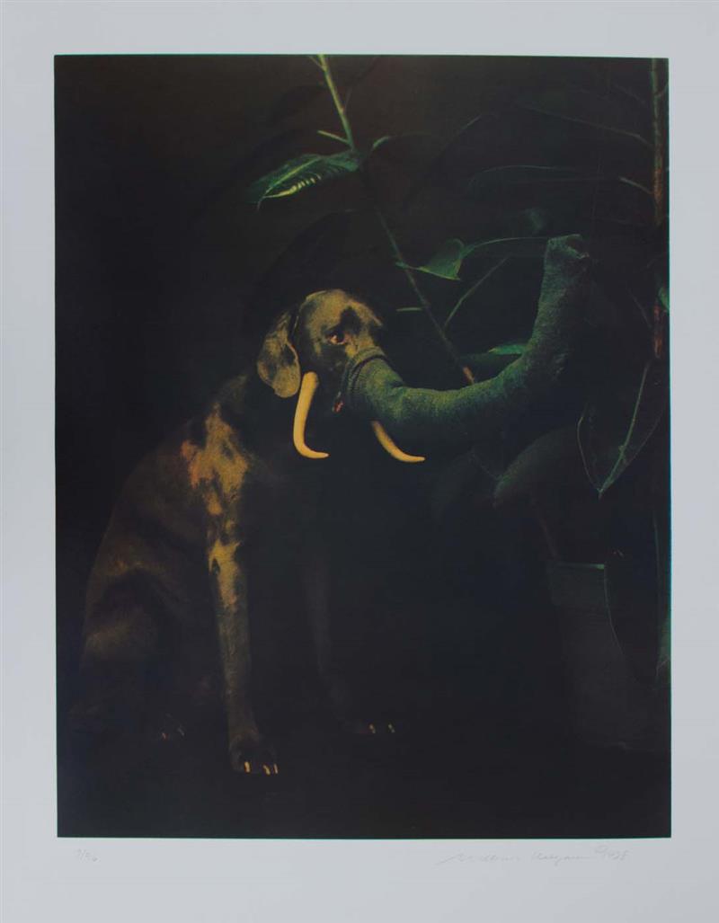 Appraisal: WILLIAM WEGMAN b THREE PRINTS ELEPHANT BAD DOG AND DUSTED