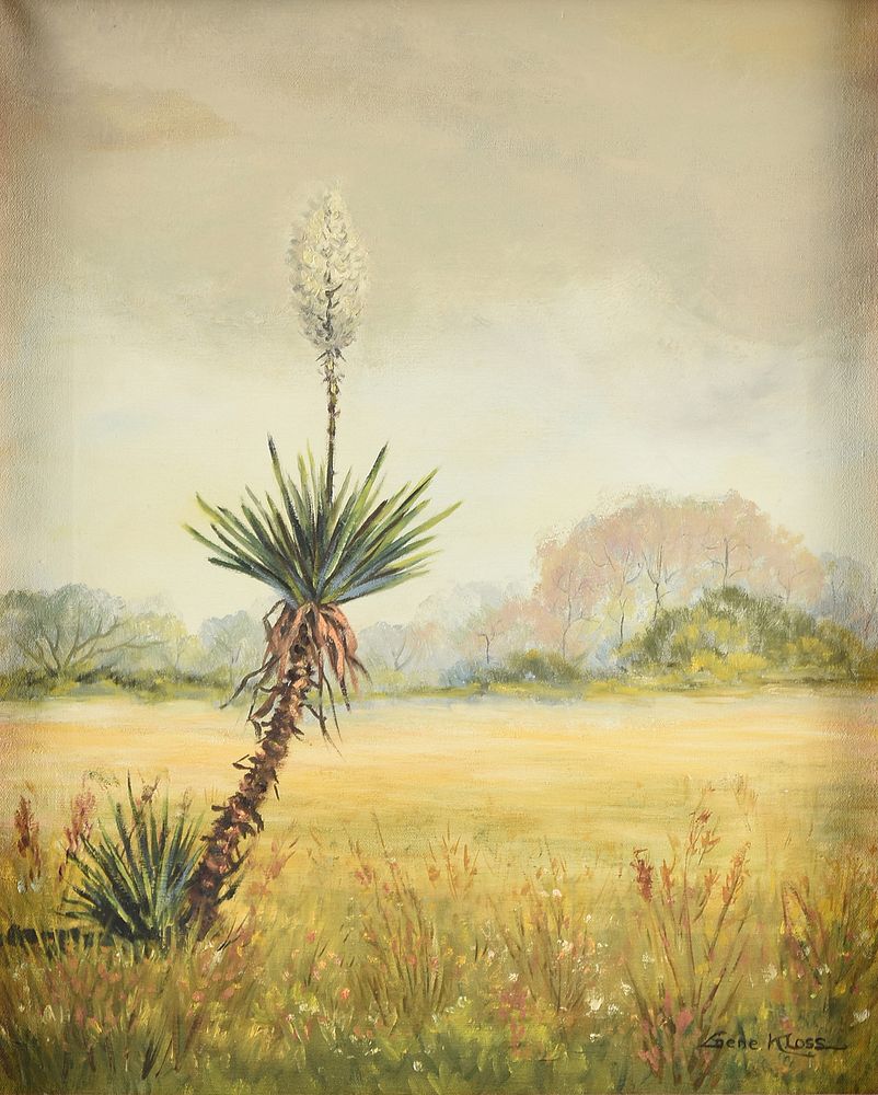 Appraisal: GENE KLOSS American - A PAINTING Blooming Yucca in Landscape