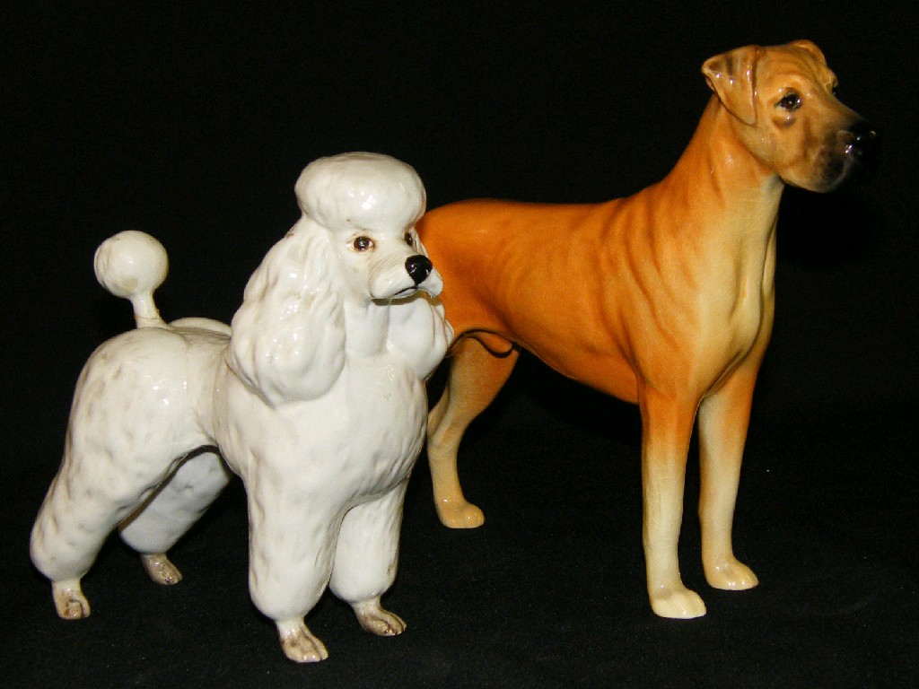 Appraisal: Beswick Great Dane Ruler of Oubourgh gloss model no high