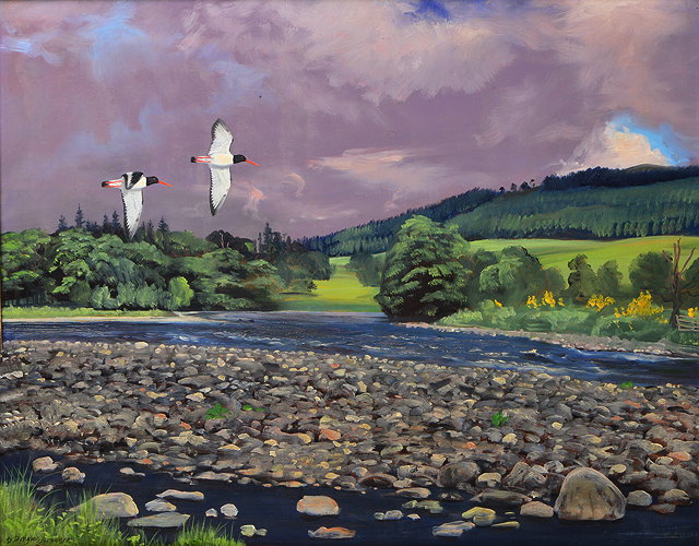 Appraisal: DOUGLAS ANDERSON b 'OYSTER CATCHERS FLYING OVER A RIVER WITH