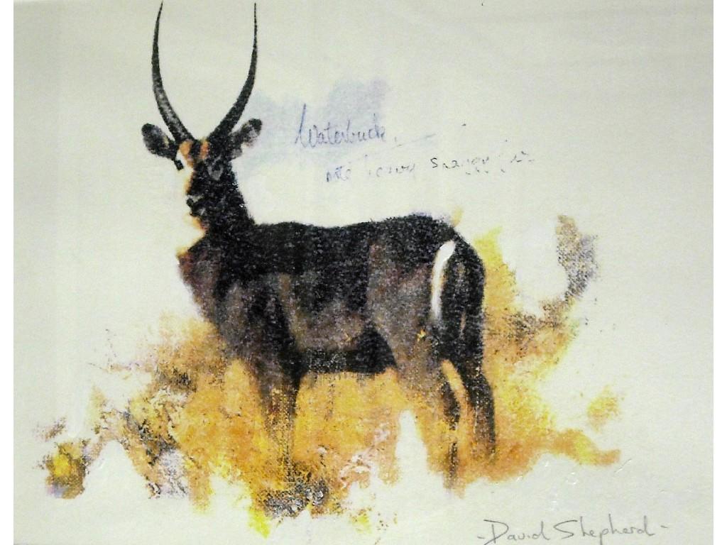 Appraisal: After David Shepherd - waterbuck signed and inscribed by artist