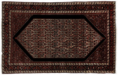 Appraisal: Ferahan Sarouk rug intricate overall design six-sided central panel with