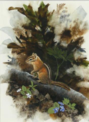 Appraisal: Jean Vietor IN - x Watercolor signed lower left Chipmunk