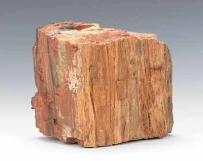 Appraisal: A Section of Petrified Wood Unidentified species of pink-red color