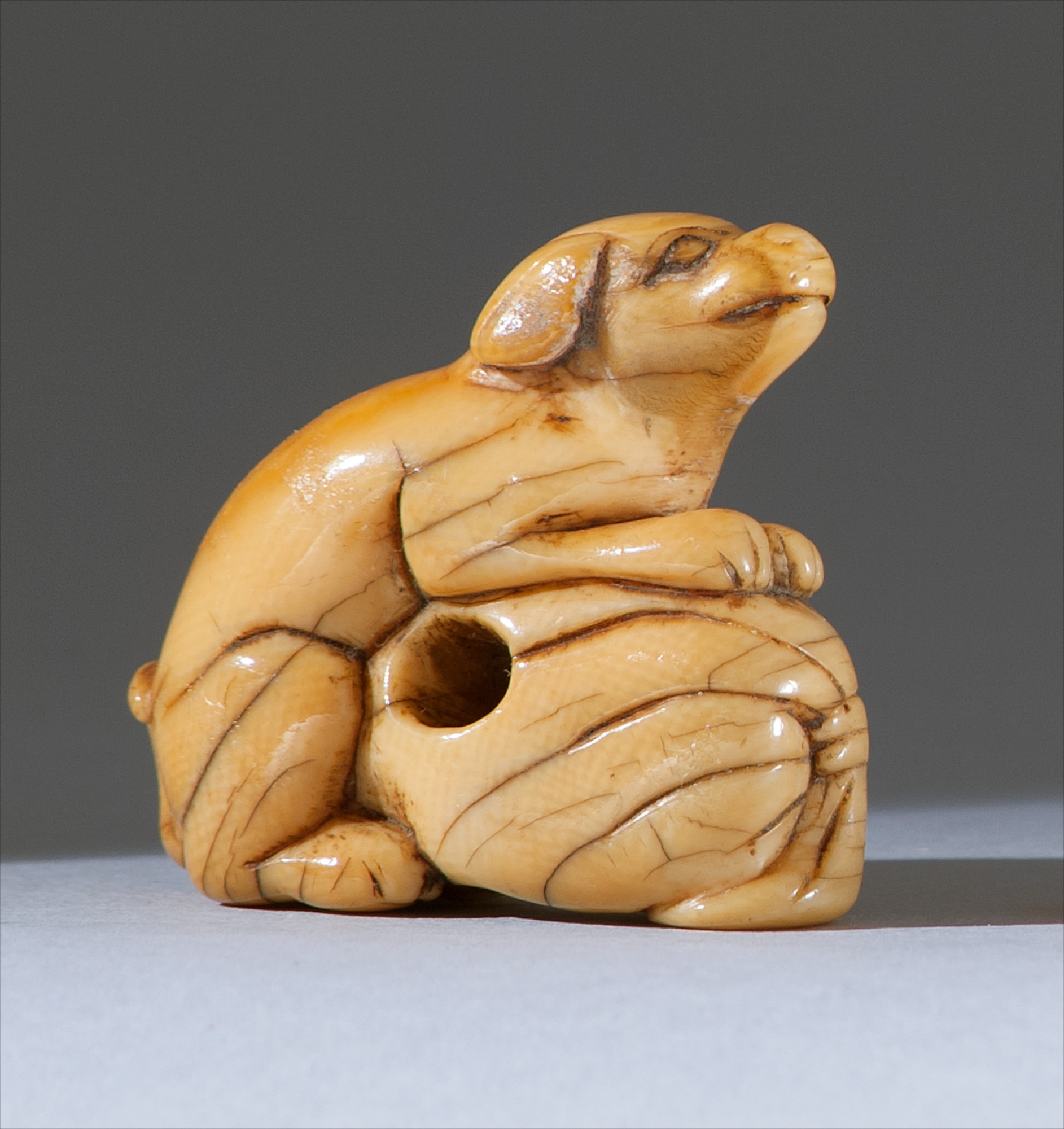 Appraisal: IVORY NETSUKE th CenturyIn the form of a dog guarding