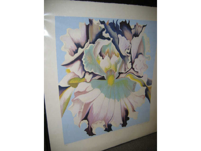 Appraisal: LOWELL NESBITT AMERICAN TH CENTURY Orchid silkscreen edition pencil signed