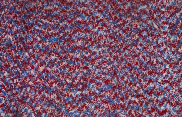 Appraisal: SHAG RUG In red white and blue x