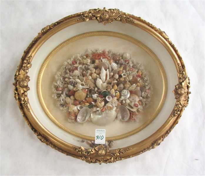 Appraisal: PACIFIC SEASHELL COLLECTION IN ANTIQUE SHADOW BOX FRAME featuring a