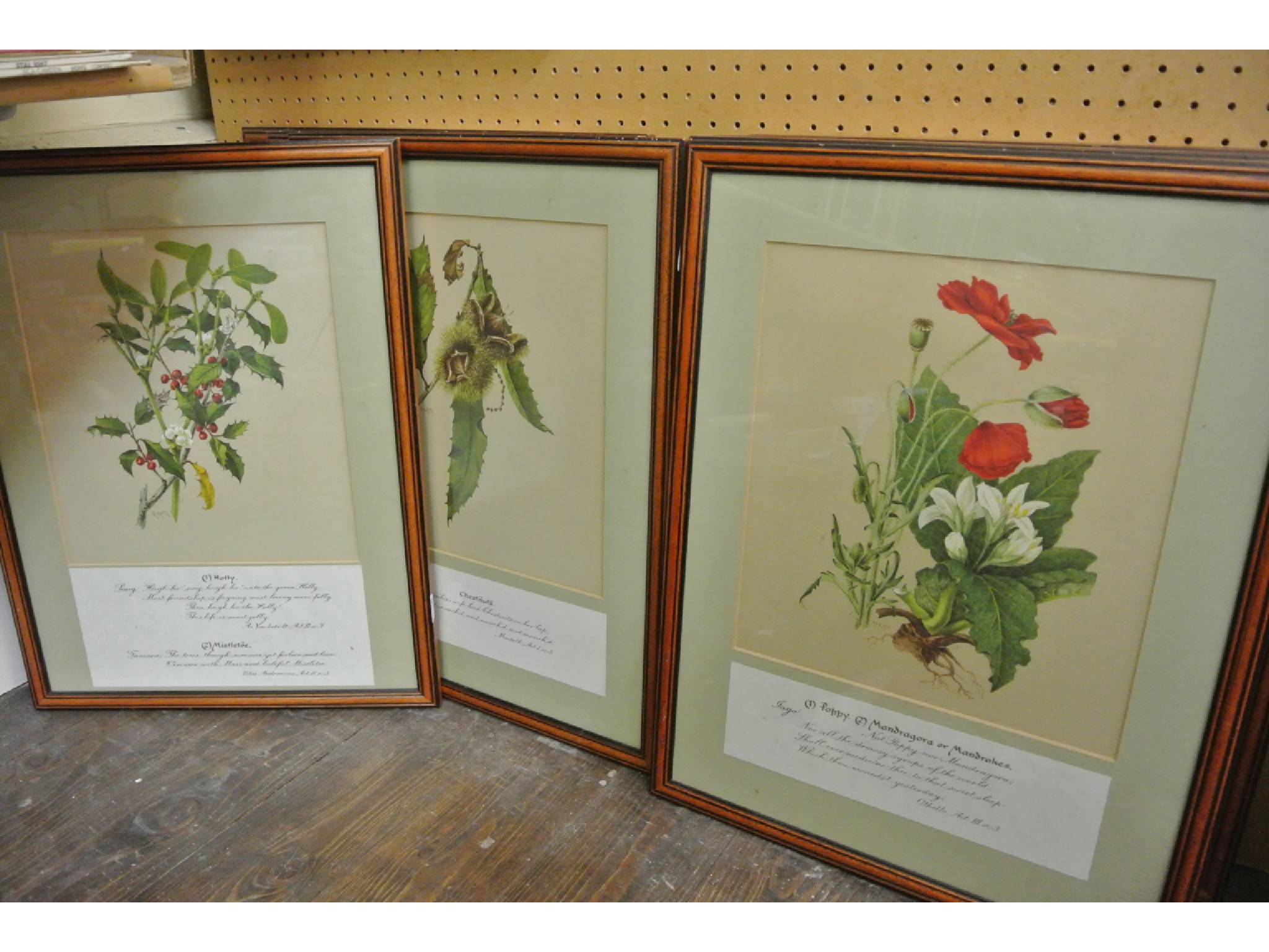 Appraisal: A set of nine coloured botanical prints relating to Shakespearian