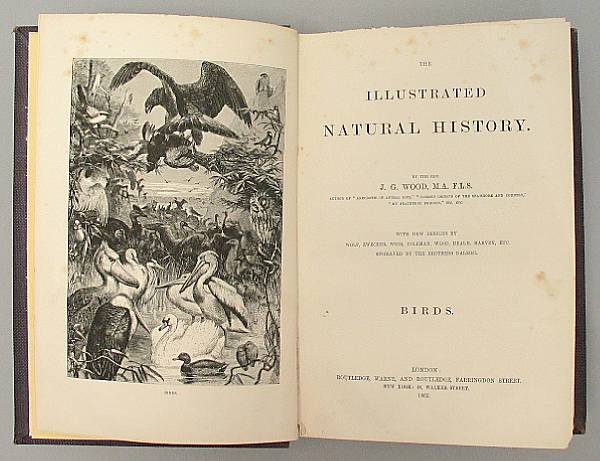 Appraisal: WOOD J G The Illustrated Natural History vols London -