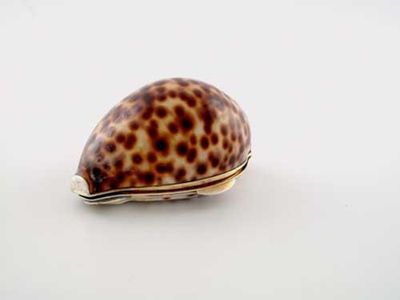 Appraisal: A George III IV silvergilt mounted cowrie shell snuff box