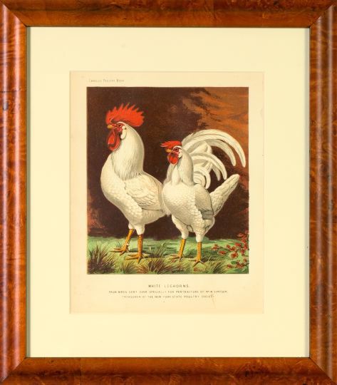 Appraisal: J Ludlow Cassell British th Century Chickens suite of eight