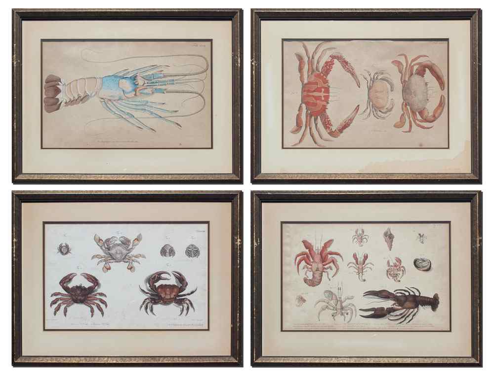 Appraisal: EARLY CRUSTACEAN ENGRAVINGS Possibly th Century or earlier of the