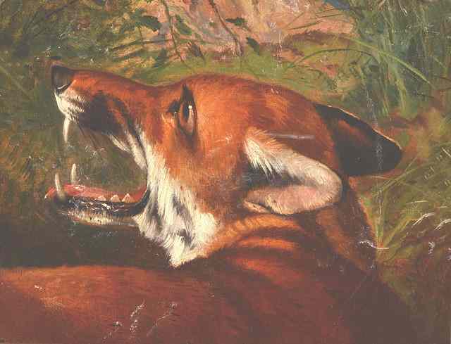 Appraisal: CIRCLE OF JOHN ALFRED WHEELER - A fox in a