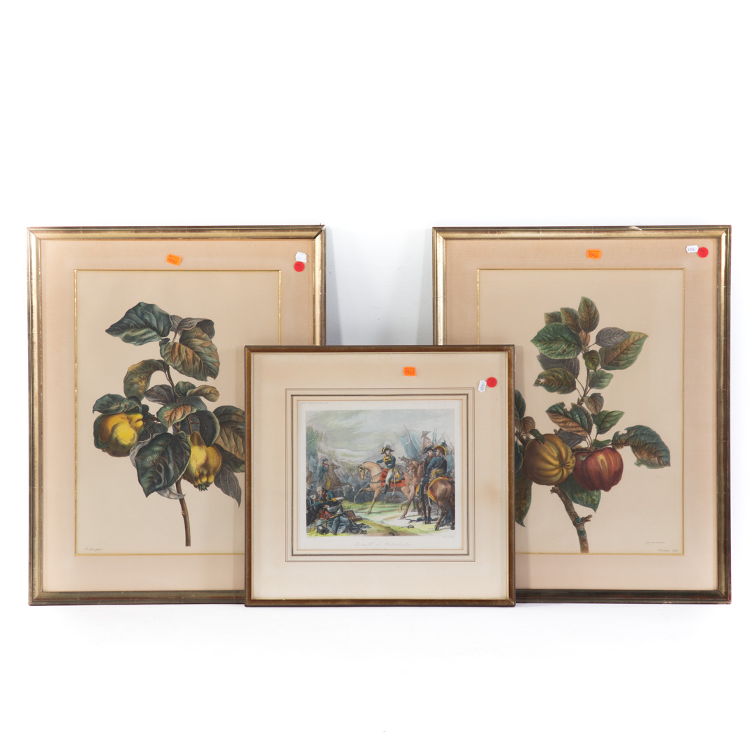 Appraisal: Two botanical still lifes and a battle engraving each framed