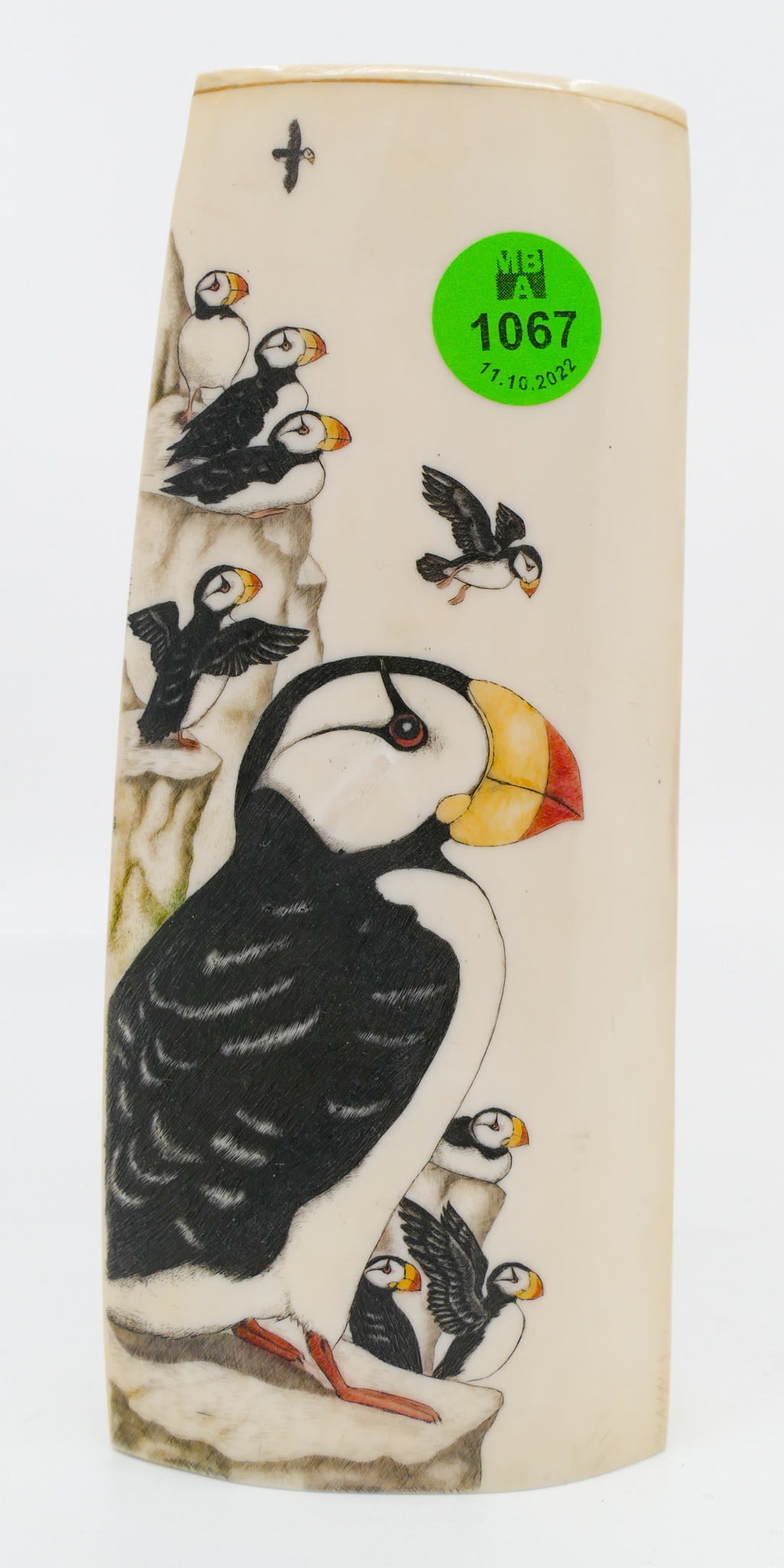 Appraisal: Catherine Young Scrimshawed Puffin Tusk Fragment ''