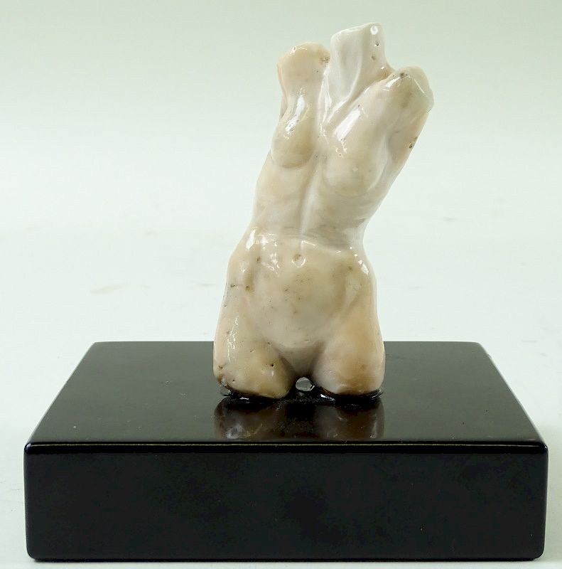 Appraisal: European Angel Skin Coral Torso Mounted On Marble European Angel