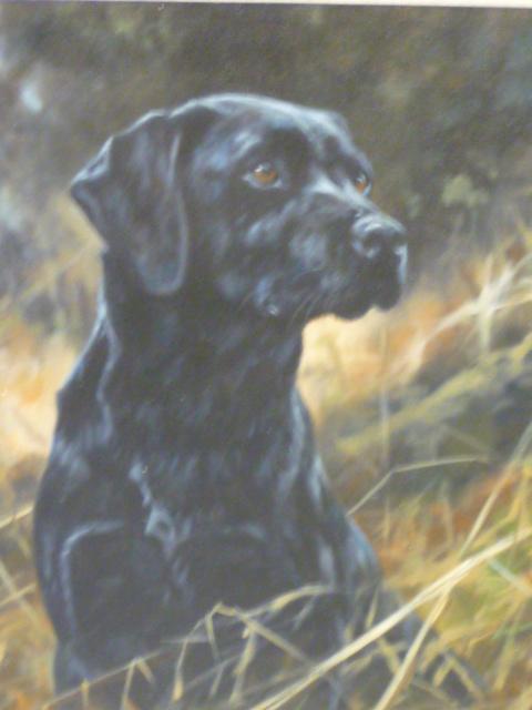 Appraisal: JOHN TRICKETT - Study of a Black Labrador oil on