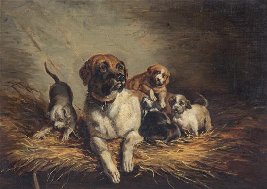 Appraisal: Sale Lot Artist Unknown British th Century A Dog with