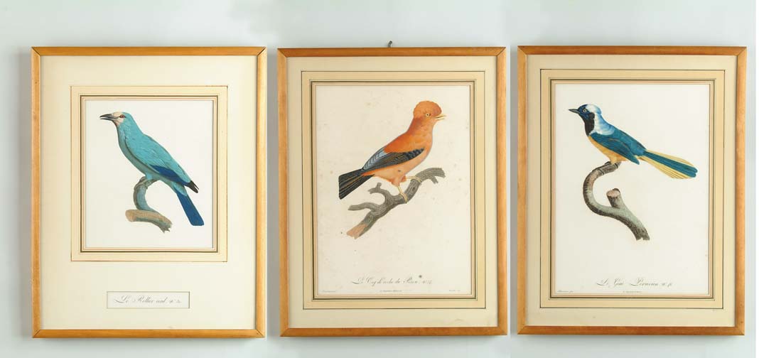 Appraisal: THREE FRAMED ANTIQUE BIRD PRINTS Identically framed and matted Le