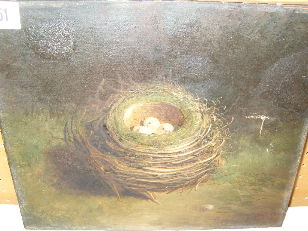 Appraisal: A th century oil painting on canvas of a birds