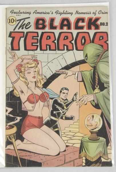 Appraisal: The Black Terror Comic No Description This comic features a