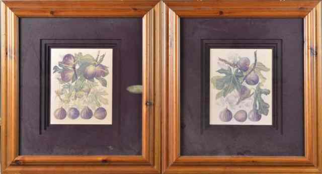 Appraisal: Pr Of L David Framed Botanical Lithographs in CoBoth depicting