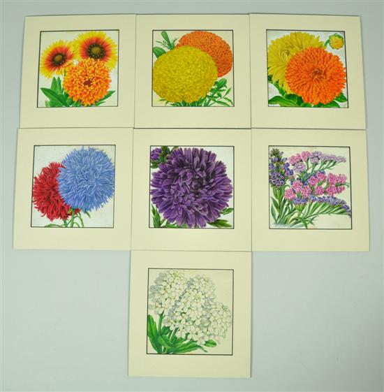 Appraisal: Seven Gouache Watercolor Flower Illustrations Circa Originally used as Burpee