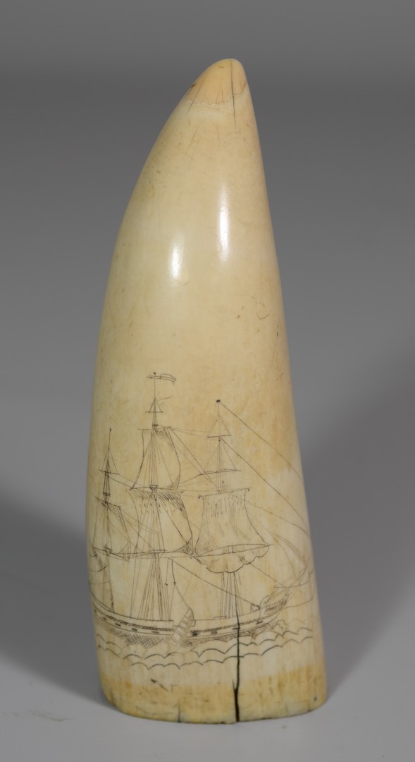 Appraisal: Scrimshawed whale tooth with whaling ship on one side Victorian