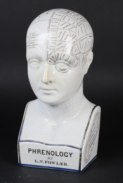 Appraisal: Lorenzo Niles Fowler American New York England - Porcelain Phrenology