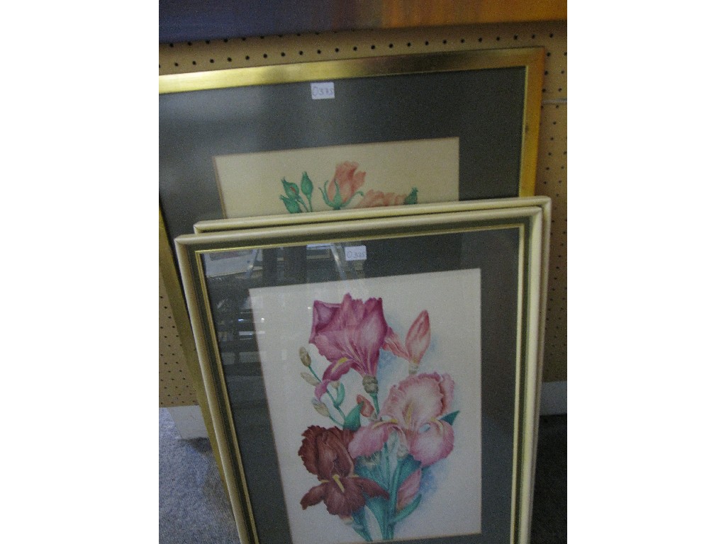 Appraisal: Lot comprising three watercolour flower studies