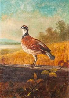 Appraisal: Samuel W Griggs Bob White Quail signed and dated W