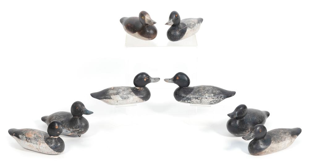 Appraisal: RIG OF EIGHT MASON DECOY FACTORY BLUEBILL DECOYS DETROIT EARLY