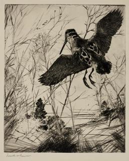 Appraisal: Frank W Benson - The Woodcock signed Frank W Benson