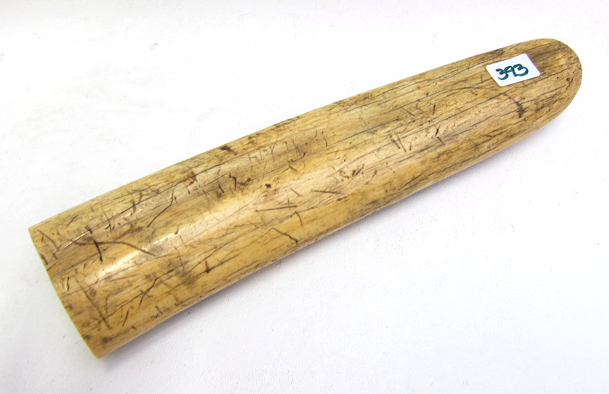 Appraisal: IVORY ANTIQUE UNCARVED WALRUS TUSK measuring long