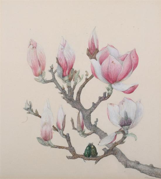 Appraisal: BARON ERNST VON MAYDELL German - BEETLES ON MAGNOLIA BRANCH