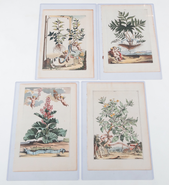 Appraisal: FOUR ABRAHAM MUNTING BOTANICAL PRINTS Netherlands - Hand colored engravings