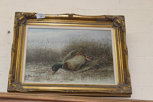 Appraisal: A DECORATIVE STILL LIFE A DEAD DUCK LYING AMONGST REEDS