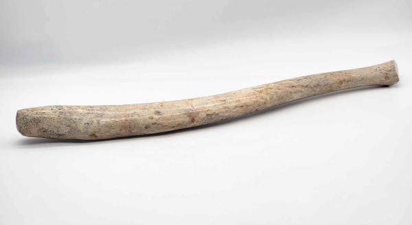 Appraisal: Large Mineralized OosikA large penile bone of a male walrus