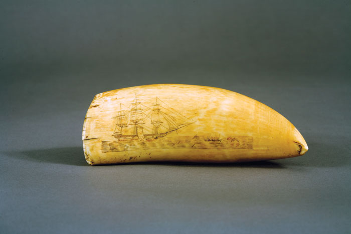 Appraisal: SCRIMSHAW POLYCHROME-DECORATED WHALE'S TOOTH Engraved on one side with a