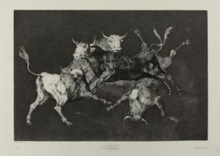 Appraisal: GOYA Y LUCIENTES Francisco Lluvia de Toros Etching on laid